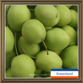 Hot Selling New Crop Fresh and Sweet Shandong Pear